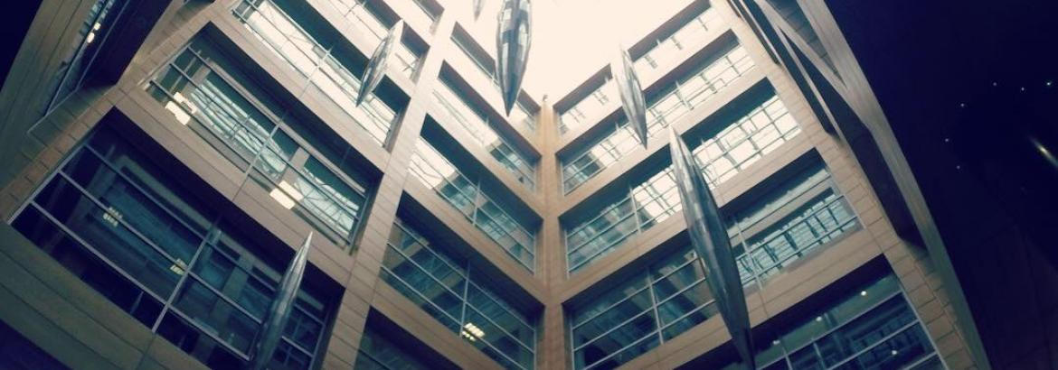 Intercâmbio no Exterior